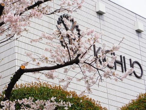吉祥女子中学校 第57回入学式を挙行しました | 吉祥女子中学・高等学校
